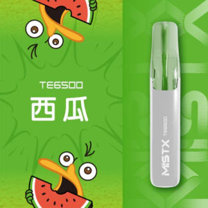 Mist X 鴨嘴獸 6500抛棄式電子煙 650mAh大電量可充電續航 冰爽水果口味清涼入喉 獨家萌系外觀 台灣現貨秒發