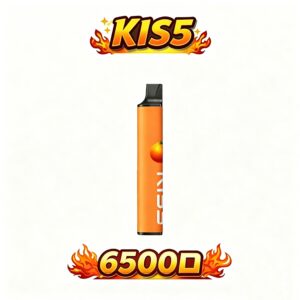 KIS5 鎧斯 6500抛棄式 升級不漏油結構順滑擊喉 雙芯磁吸自由配 Type-C 快充長效續航 全台現貨速發